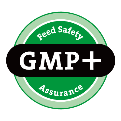 GMP Logo