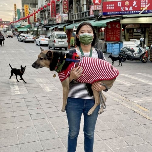 窩家狗Olga dogs : 寵物電商，讓分享隨時上線！