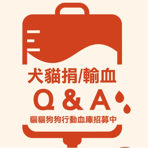 犬貓捐/輸血 Q&A